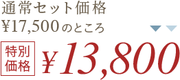 特別価格 ¥17,800